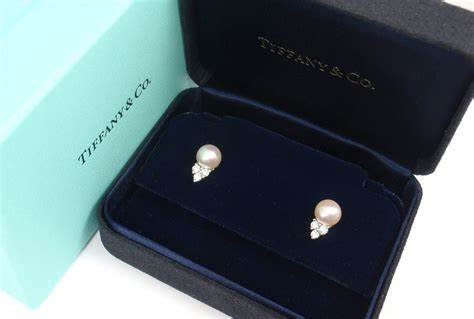 Radiant Elegance: A Comprehensive Review of the Tiffany & Co. Diamond Stud Earrings